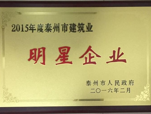 2015年度泰州市建筑業明星企業